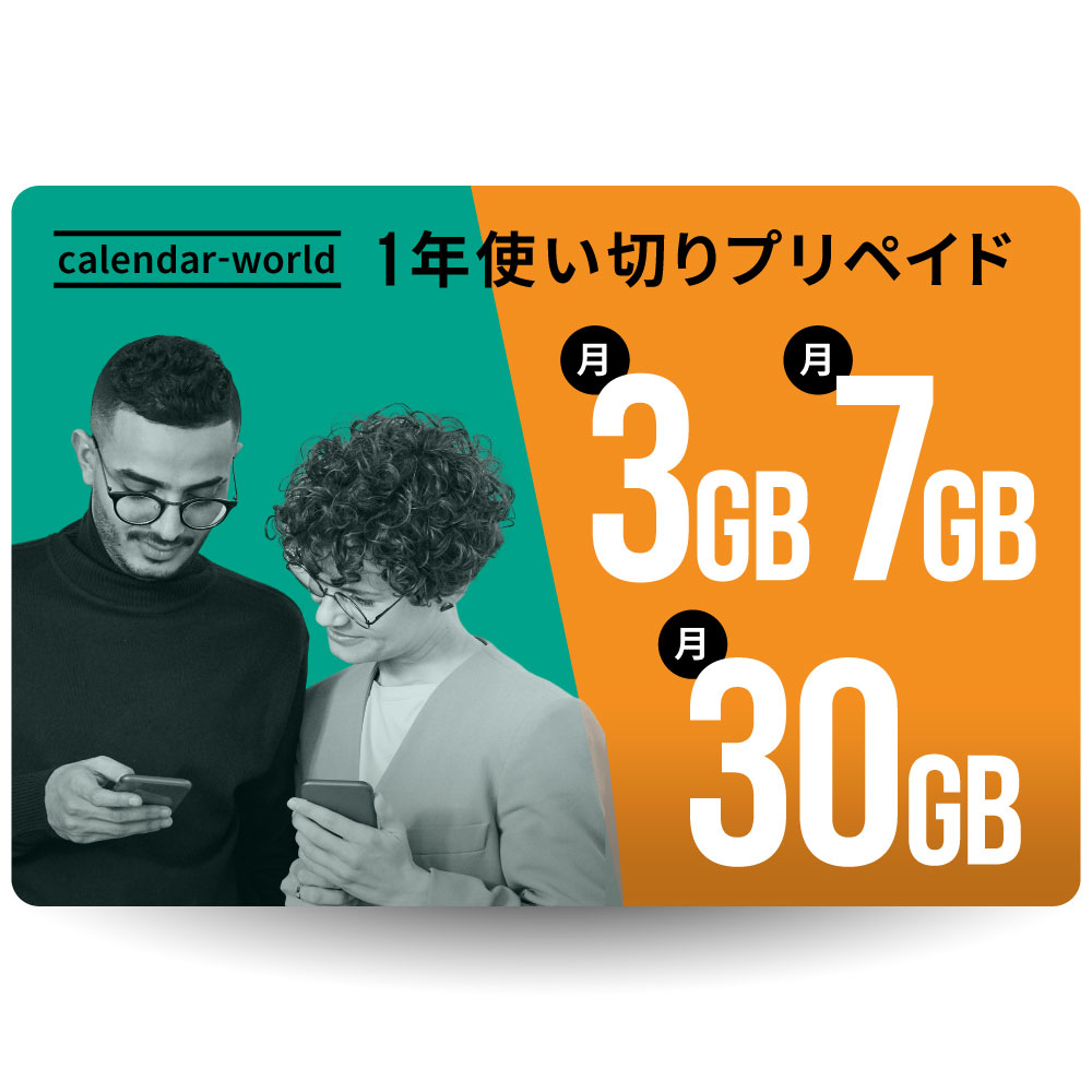 1年プリペイドSIMプラン 楽天回線、au回線、国際ローミング対応
